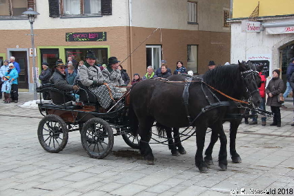 Winterausfahrt der Pferdezuchtvereine20180128 142652