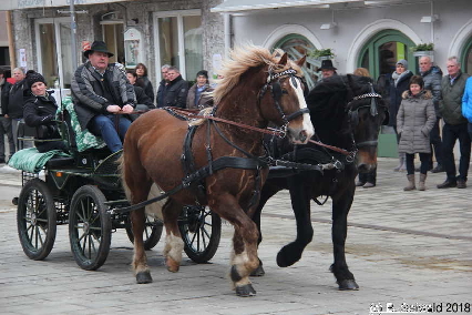 Winterausfahrt der Pferdezuchtvereine20180128 142734