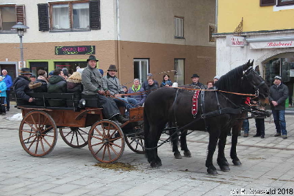 Winterausfahrt der Pferdezuchtvereine20180128 142832