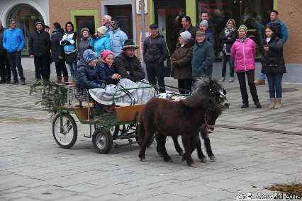 Winterausfahrt der Pferdezuchtvereine20180128 143121