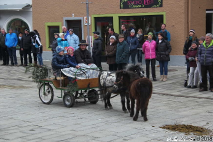 Winterausfahrt der Pferdezuchtvereine20180128 143140
