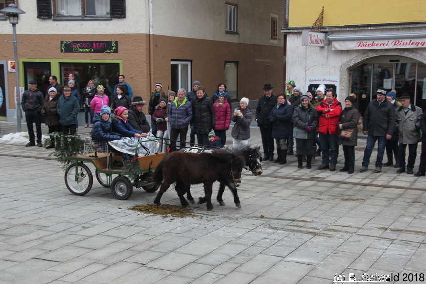 Winterausfahrt der Pferdezuchtvereine20180128 143204