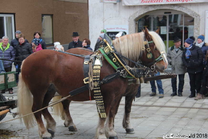 Winterausfahrt der Pferdezuchtvereine20180128 143228