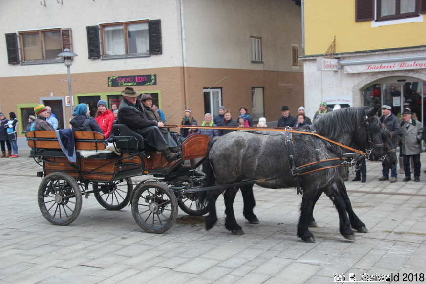 Winterausfahrt der Pferdezuchtvereine20180128 143401