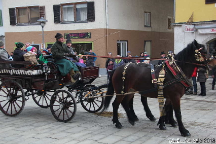 Winterausfahrt der Pferdezuchtvereine20180128 143541
