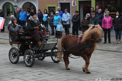 Winterausfahrt der Pferdezuchtvereine20180128 144308