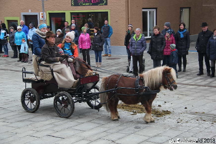 Winterausfahrt der Pferdezuchtvereine20180128 144400
