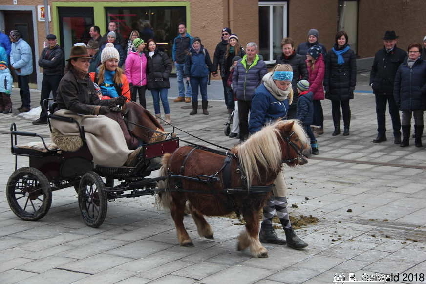 Winterausfahrt der Pferdezuchtvereine20180128 144414