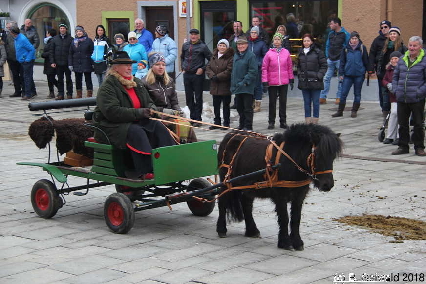 Winterausfahrt der Pferdezuchtvereine20180128 144504