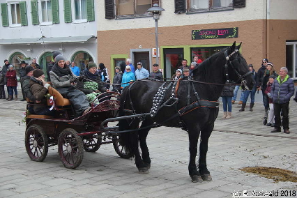 Winterausfahrt der Pferdezuchtvereine20180128 144552