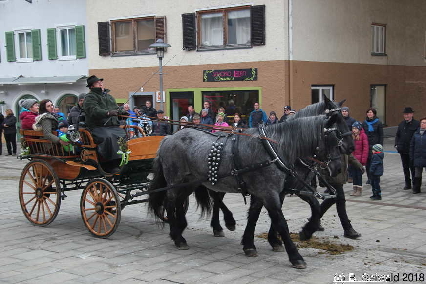 Winterausfahrt der Pferdezuchtvereine20180128 144641