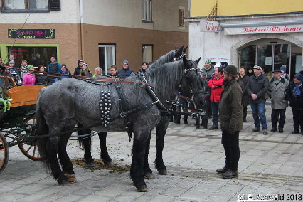 Winterausfahrt der Pferdezuchtvereine20180128 144646
