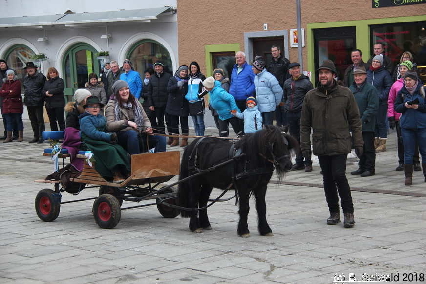 Winterausfahrt der Pferdezuchtvereine20180128 144731