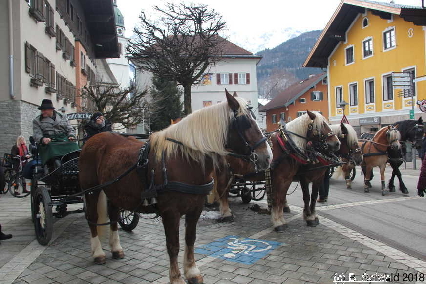 Winterausfahrt der Pferdezuchtvereine20180128 145150
